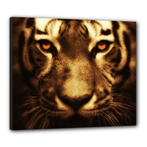 Cat Tiger Animal Wildlife Wild Canvas 24  X 20  by Celenk