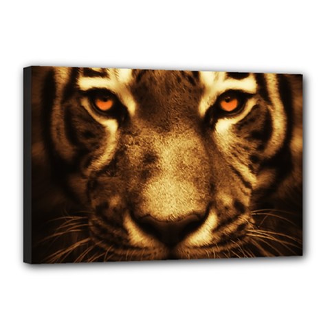 Cat Tiger Animal Wildlife Wild Canvas 18  X 12  by Celenk