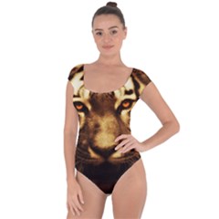 Cat Tiger Animal Wildlife Wild Short Sleeve Leotard  by Celenk