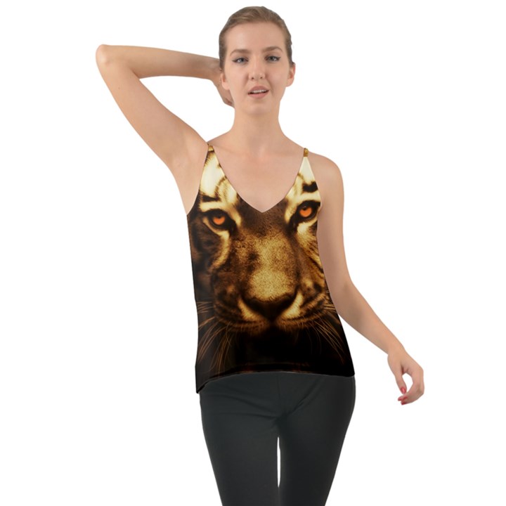 Cat Tiger Animal Wildlife Wild Cami