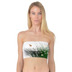 Spring Flowers Grass Meadow Plant Bandeau Top by Celenk