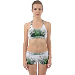 Spring Flowers Grass Meadow Plant Back Web Sports Bra Set