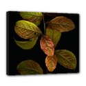 Autumn Leaves Foliage Deluxe Canvas 24  x 20   View1