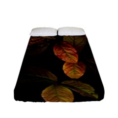 Autumn Leaves Foliage Fitted Sheet (full/ Double Size) by Celenk