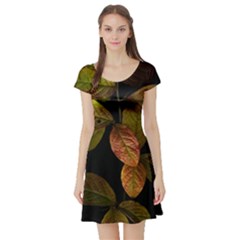 Autumn Leaves Foliage Short Sleeve Skater Dress by Celenk