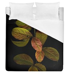 Autumn Leaves Foliage Duvet Cover (queen Size) by Celenk