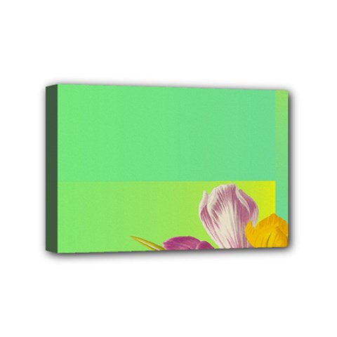 Background Homepage Blossom Bloom Mini Canvas 6  X 4  by Celenk