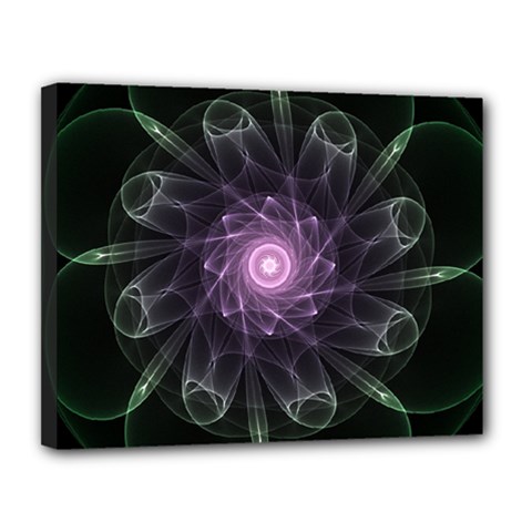 Mandala Fractal Light Light Fractal Canvas 14  X 11  by Celenk