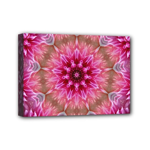 Flower Mandala Art Pink Abstract Mini Canvas 7  X 5  by Celenk