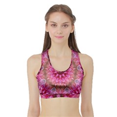 Flower Mandala Art Pink Abstract Sports Bra With Border by Celenk