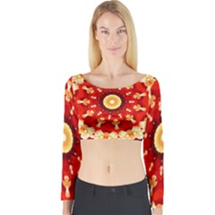 Abstract Art Abstract Background Long Sleeve Crop Top by Celenk