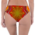 Mandala Zen Meditation Spiritual Reversible Classic Bikini Bottoms View2