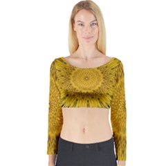 Pattern Petals Pipes Plants Long Sleeve Crop Top by Celenk