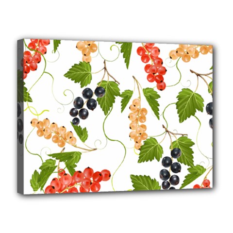 Juicy Currants Canvas 16  X 12  by TKKdesignsCo