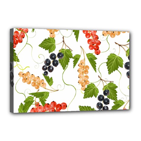 Juicy Currants Canvas 18  X 12 