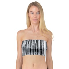 Row Trees Nature Birch Bandeau Top by Celenk