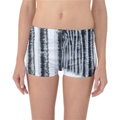 Row Trees Nature Birch Reversible Boyleg Bikini Bottoms by Celenk