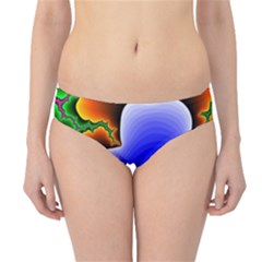 Fractal Background Pattern Color Hipster Bikini Bottoms by Celenk