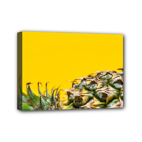 Pineapple Raw Sweet Tropical Food Mini Canvas 7  X 5  by Celenk