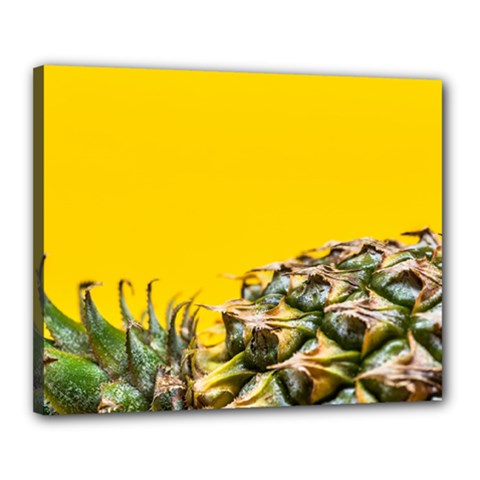 Pineapple Raw Sweet Tropical Food Canvas 20  X 16  by Celenk