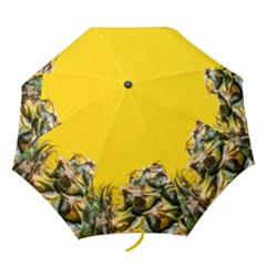 Pineapple Raw Sweet Tropical Food Folding Umbrellas by Celenk