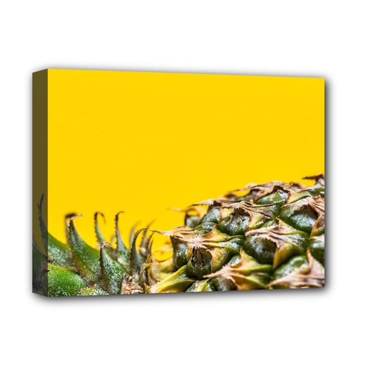 Pineapple Raw Sweet Tropical Food Deluxe Canvas 16  x 12  