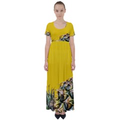 Pineapple Raw Sweet Tropical Food High Waist Short Sleeve Maxi Dress