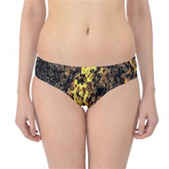 The Background Wallpaper Gold Hipster Bikini Bottoms by Celenk