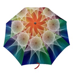 Abstract Star Pattern Structure Folding Umbrellas by Celenk