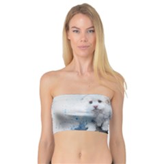 Cat Dog Cute Art Abstract Bandeau Top by Celenk