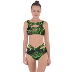 Flora Entwine Fractals Flowers Bandaged Up Bikini Set  by Celenk