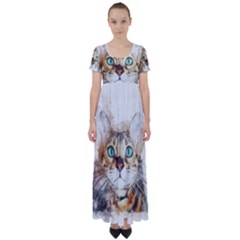 Cat Animal Art Abstract Watercolor High Waist Short Sleeve Maxi Dress by Celenk