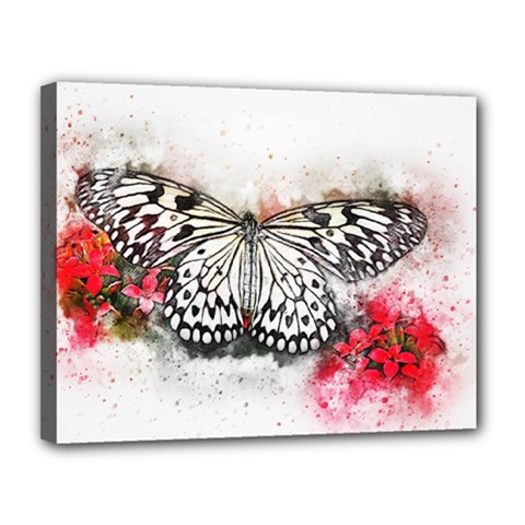 Butterfly Animal Insect Art Canvas 14  X 11  by Celenk