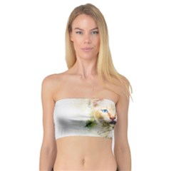 Cat Animal Art Abstract Watercolor Bandeau Top by Celenk