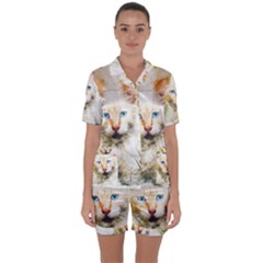 Cat Animal Art Abstract Watercolor Satin Short Sleeve Pyjamas Set