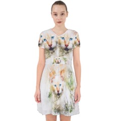 Cat Animal Art Abstract Watercolor Adorable In Chiffon Dress