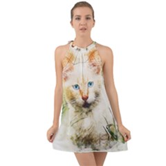 Cat Animal Art Abstract Watercolor Halter Tie Back Chiffon Dress