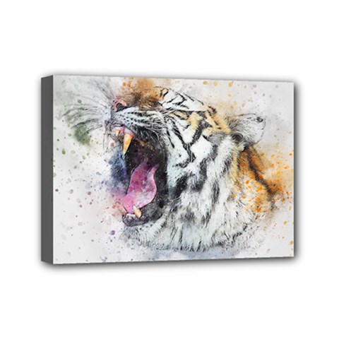 Tiger Roar Animal Art Abstract Mini Canvas 7  X 5 