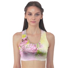 Flowers Pink Art Abstract Nature Sports Bra by Celenk