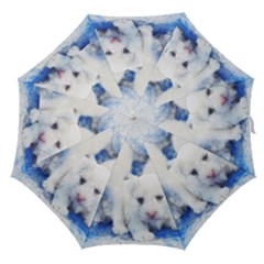 Dog Cats Pet Art Abstract Straight Umbrellas by Celenk