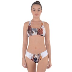 Dog Basset Pet Art Abstract Criss Cross Bikini Set