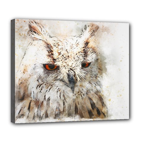 Bird Owl Animal Art Abstract Deluxe Canvas 24  X 20   by Celenk