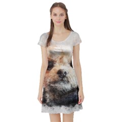 Dog Animal Pet Art Abstract Short Sleeve Skater Dress by Celenk