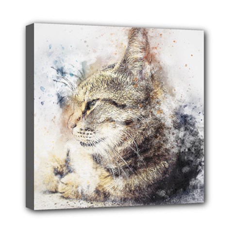 Cat Animal Art Abstract Watercolor Mini Canvas 8  X 8  by Celenk