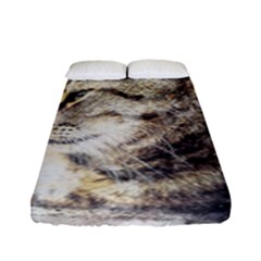 Cat Animal Art Abstract Watercolor Fitted Sheet (full/ Double Size) by Celenk