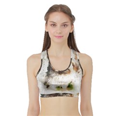 Dog Animal Pet Art Abstract Sports Bra With Border by Celenk