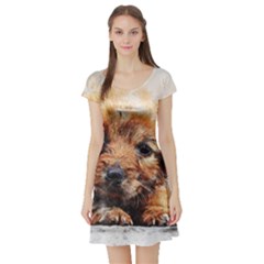 Dog Puppy Animal Art Abstract Short Sleeve Skater Dress by Celenk