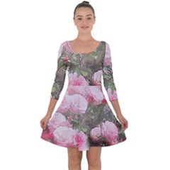 Flowers Roses Art Abstract Nature Quarter Sleeve Skater Dress by Celenk