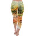 Tree Park Bench Art Abstract Capri Winter Leggings  View4