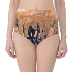 Elephants Animal Art Abstract High-waist Bikini Bottoms by Celenk